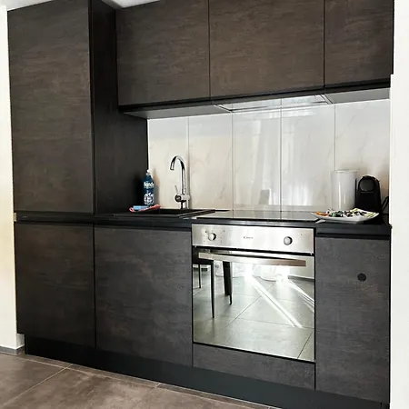Apartment St- Gallen Ost 5 Naehe Spital Olma Und Univeristaet *