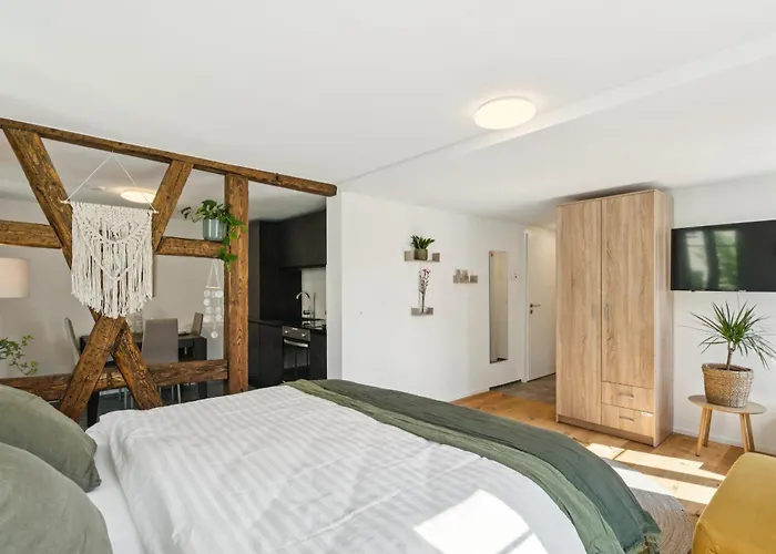 Klara 1014 - Olma, Spital, Uni St- Gallen Appartement